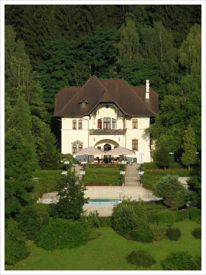 Vila Herberstein Velenje Exterior foto